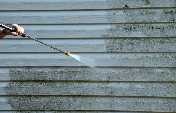 Best Gutter Cleaning  in Bradner, OH